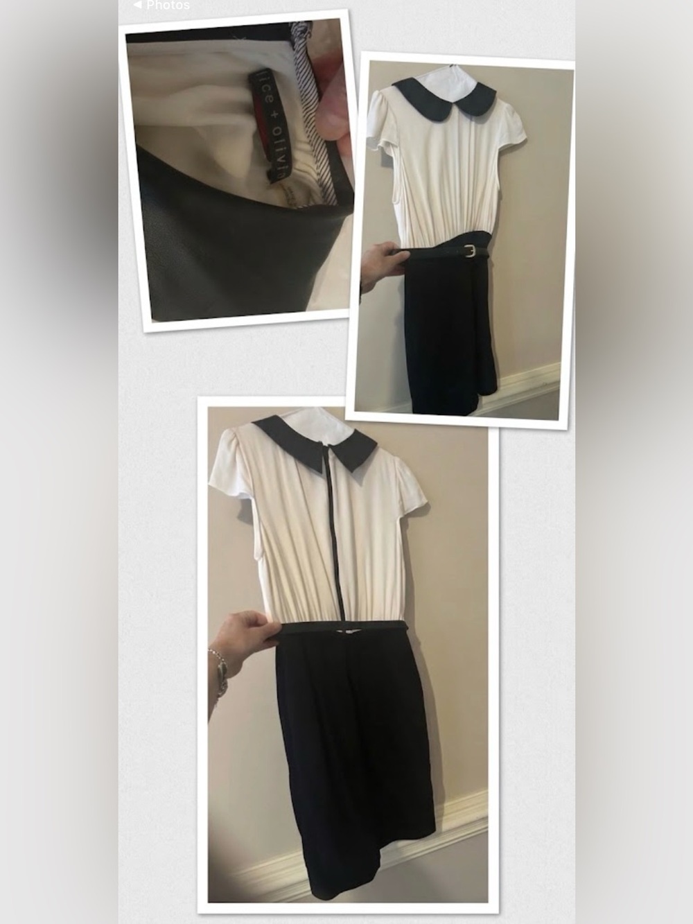 Alice + Olivia Black & Cream Peter Pan Collar Belted Dress - Size 2